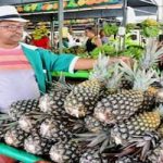 I Festival do Abacaxi