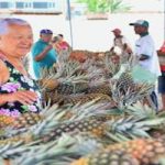 Festival do Abacaxi da Cecaf