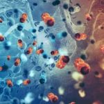 Cientistas criam vírus