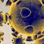 Morre a primeira vítima