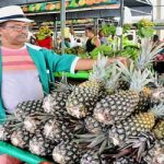 Cecaf oferece feira online