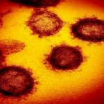 2 mil testes rápidos