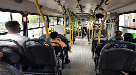 Ônibus voltam a circular