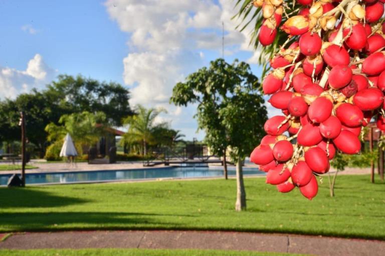 Alta procura para imóveis de campo em função do Covid