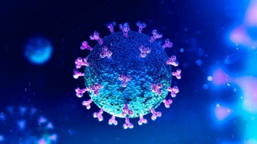 ALERTA: Paraíba entra na faixa vermelha por alta de 19% em mortes por Covid-19