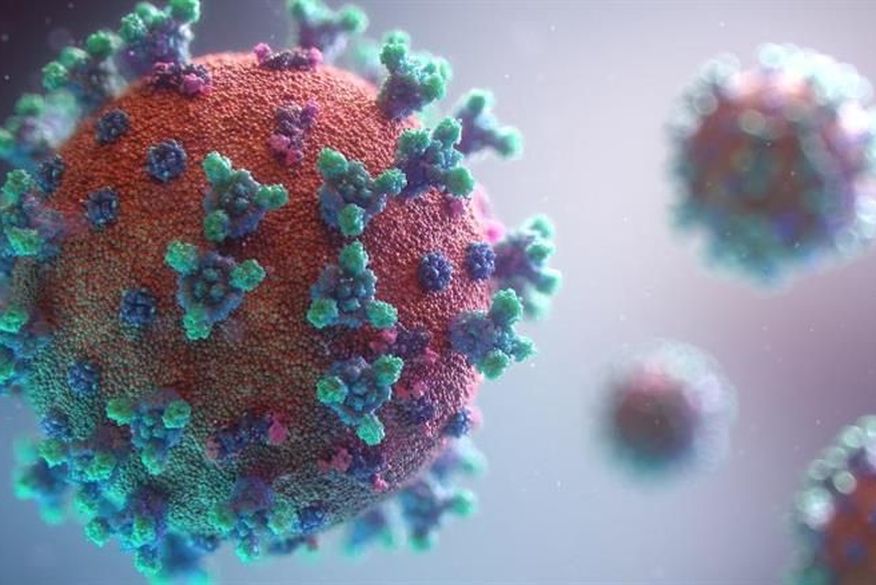 Resposta imunológica contra coronavírus pode durar pelo menos oito meses após infecção, indica estudo