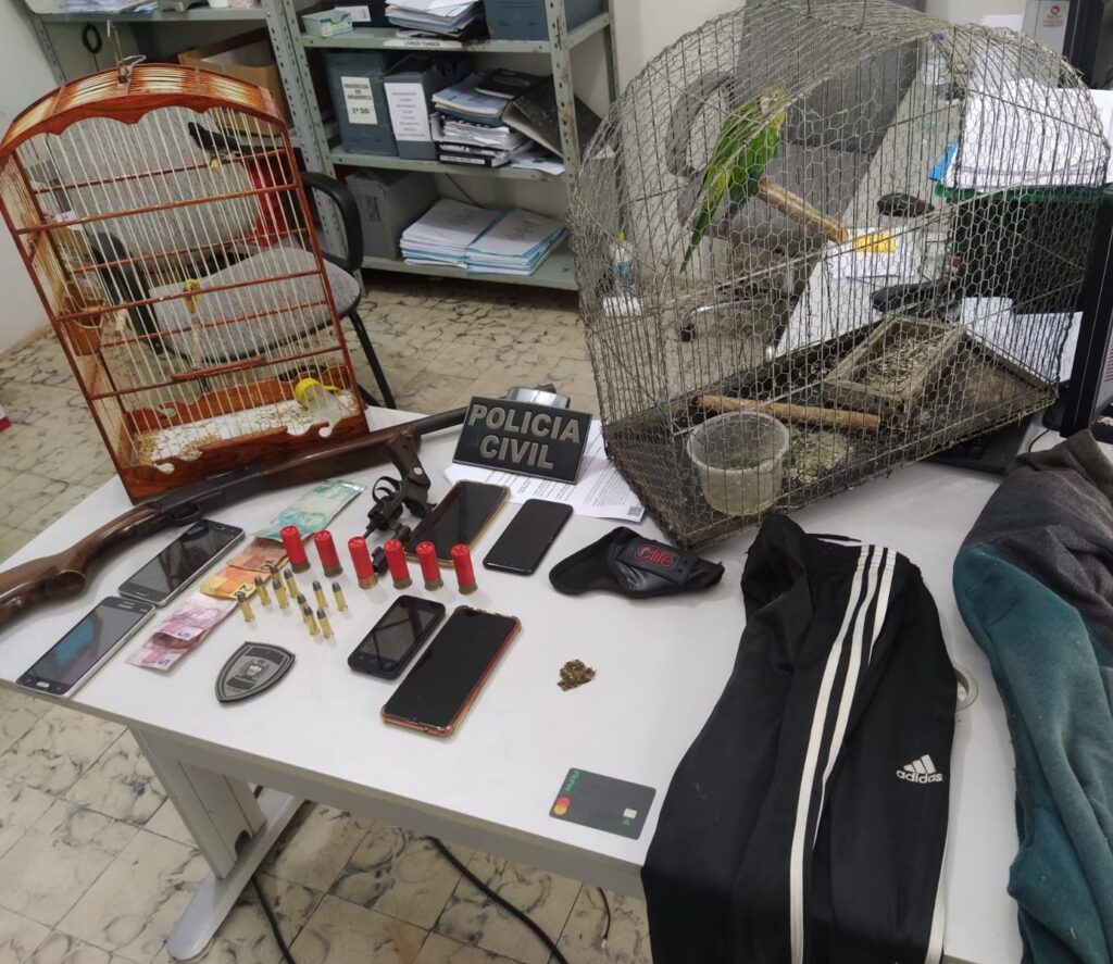 Polícia Civil apreende armas e drogas em operação na cidade de Pombal; Ação contou com policiais de Sousa