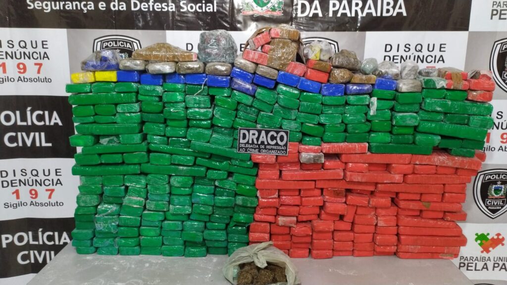 Polícia Civil prende homem e apreende 350 quilos de maconha escondidos em sítio da cidade de Lagoa