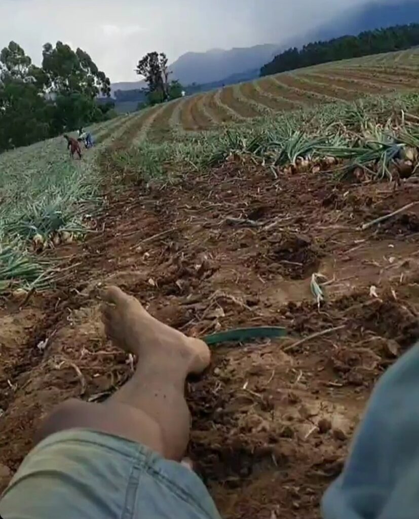 Patos e Pombal lideram casos de trabalhadores escravizados em outros Estados do Brasil