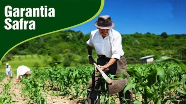 Governo autoriza pagamento do garantia-safra para agricultores de Pombal e mais 125 municípios da PB