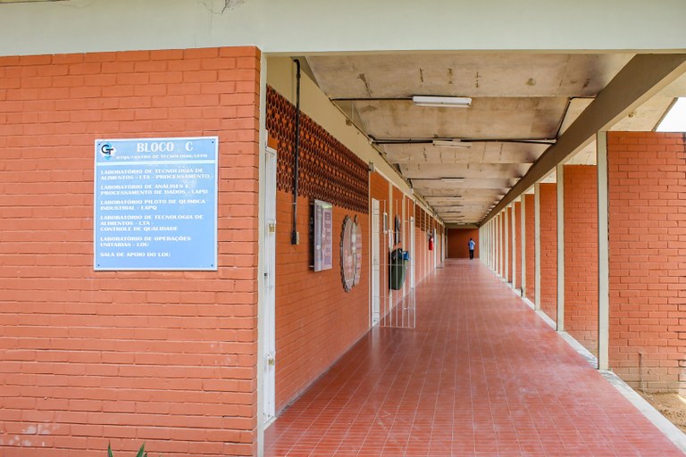 UFPB desenvolve adesivo capaz de curar lesão em 24 horas