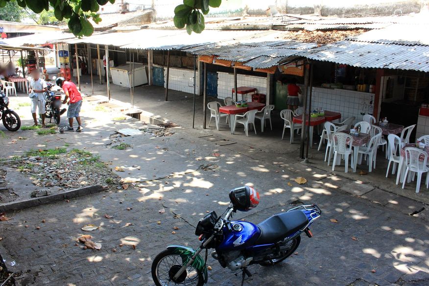 11 gatos são mortos a pedradas e golpes de faca no Mercado Central de João Pessoa e suspeito está foragido