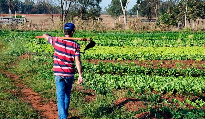 Projeto prevê insumos e assistência técnica a agricultores do Alimenta Brasil