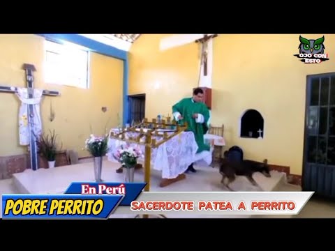 Padre chuta cachorro em missa e revolta internautas