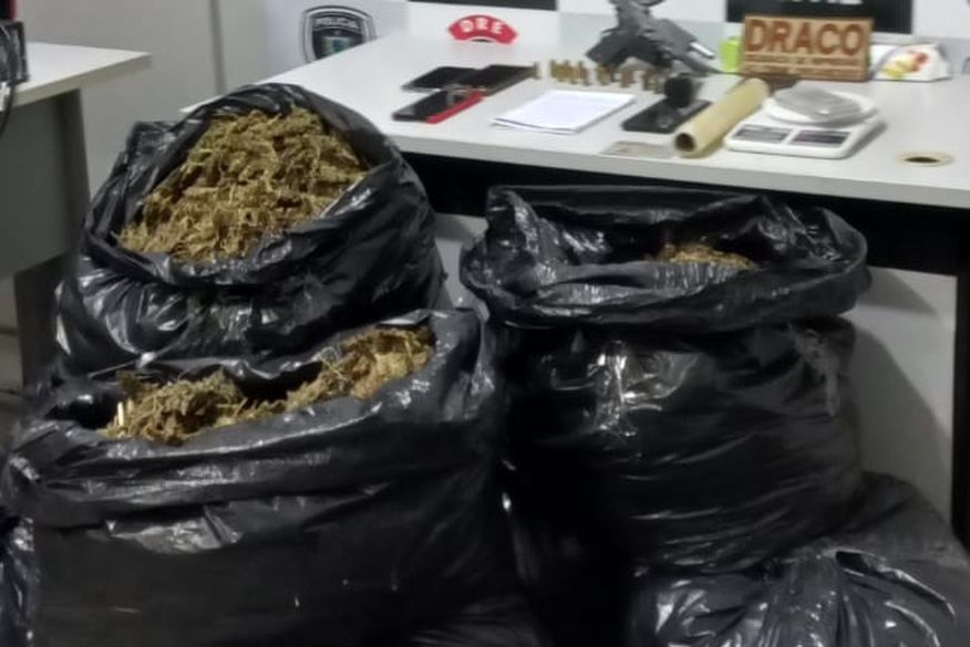 Polícia apreende mais de 80 kg de maconha na PB