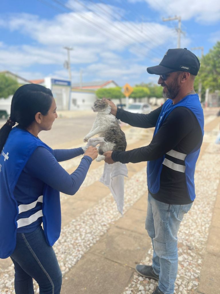 Prefeitura de São Bento imuniza mais de mil e cem animais no DIA D de Vacinação antirrábica