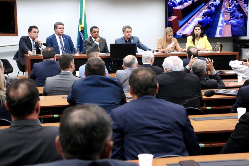 “Mais do que a busca por investimentos, contamos com a maturidade de quem prioriza a bandeira da Paraíba”, diz coordenador da bancada, Efraim