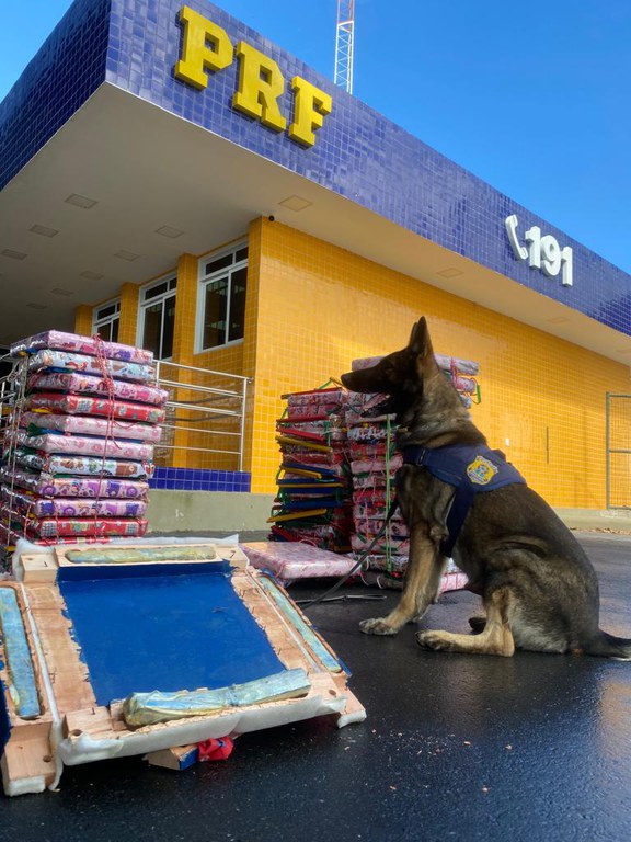 PRF apreende 53 Kg de maconha durante abordagem a ônibus em Vitória da Conquista (BA); Os produtos seriam entregues na cidade de São Bento