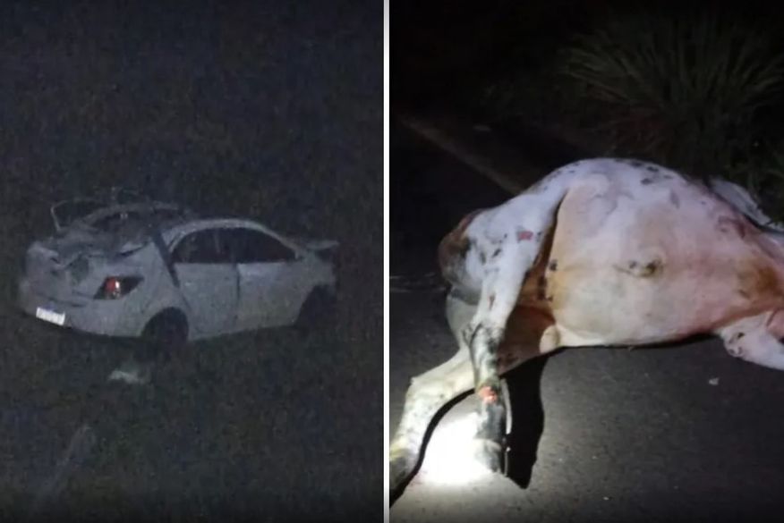 Locutor de rodeio e amigo morrem após carro bater contra vaca e cair em ribanceira