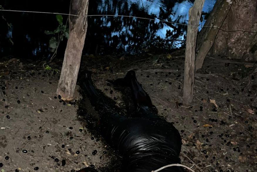 Corpo em avançado estado de decomposição é encontrado em matagal, em Santa Rita