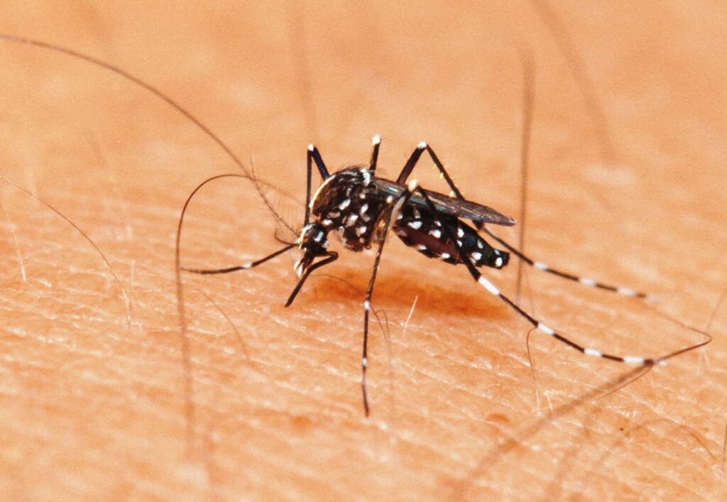 Paraíba registra redução de 50% no número de casos prováveis de dengue em 2023