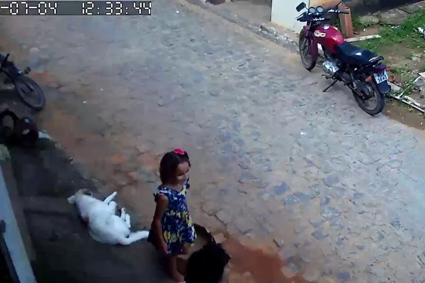 Força-tarefa vasculha seis açudes para tentar encontrar Sophia, desaparecida há uma semana
