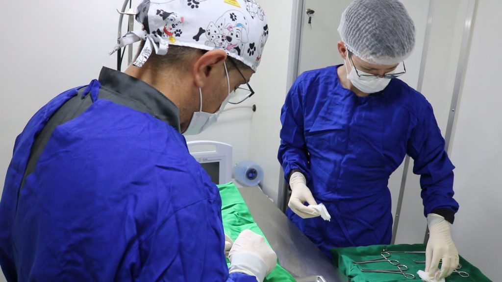 Prefeitura de São Bento já atinge o total de 56 laqueaduras em cadelas e gatas com a implantação do Castramóvel no município