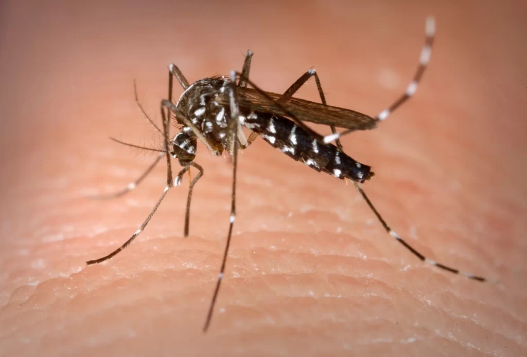 Centro de Operações de Emergência vai monitorar casos de dengue na Paraíba