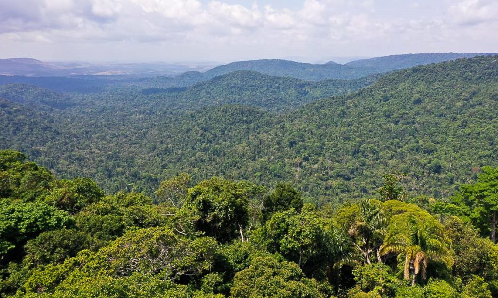 Brasil já perdeu 33% das áreas naturais de seu território